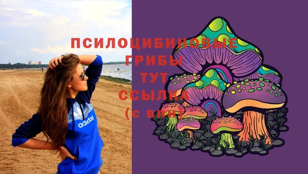 героин Богданович